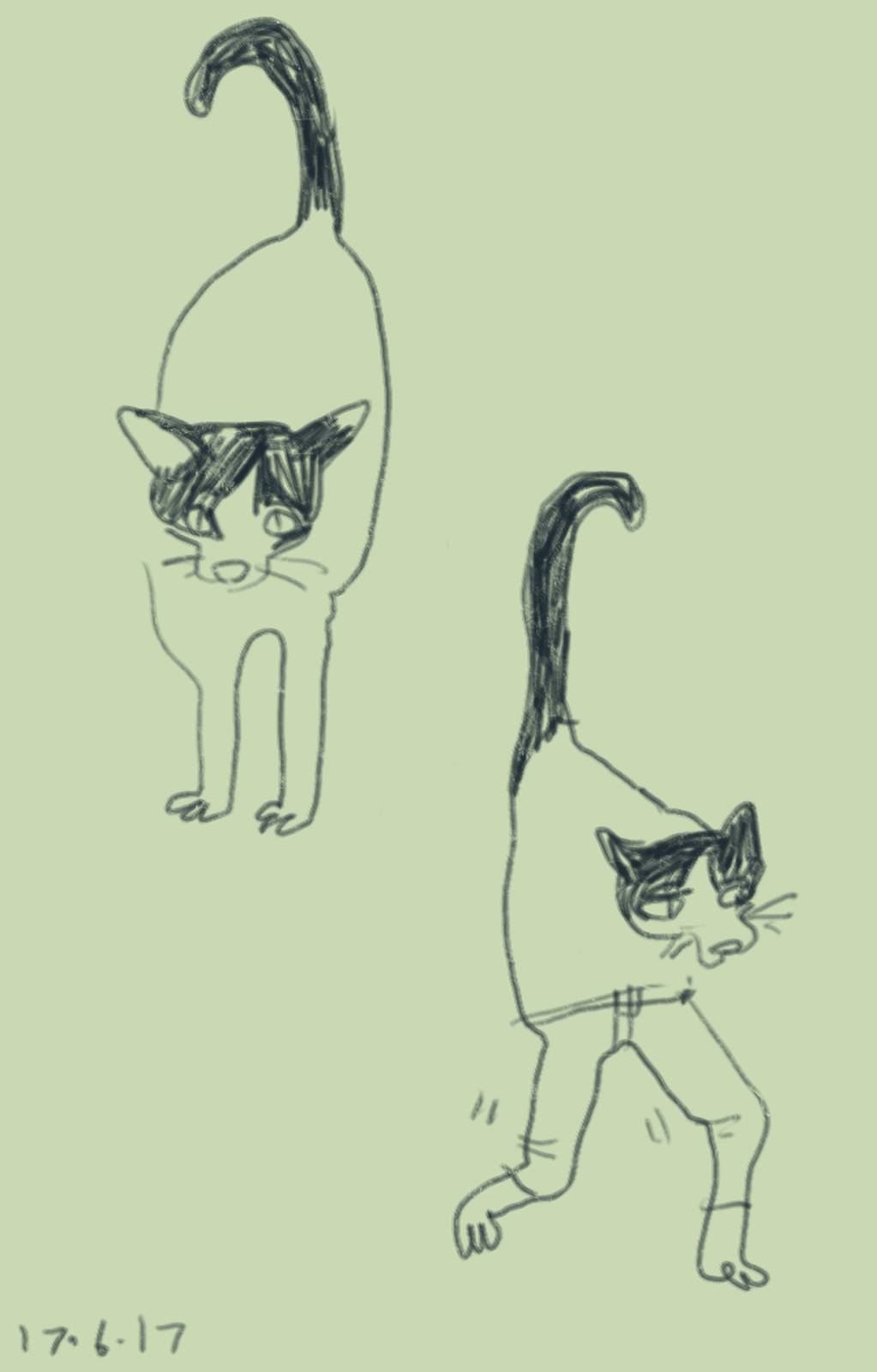 Sketch of a two legged cat, and the same two leggec cat walking around with pants on